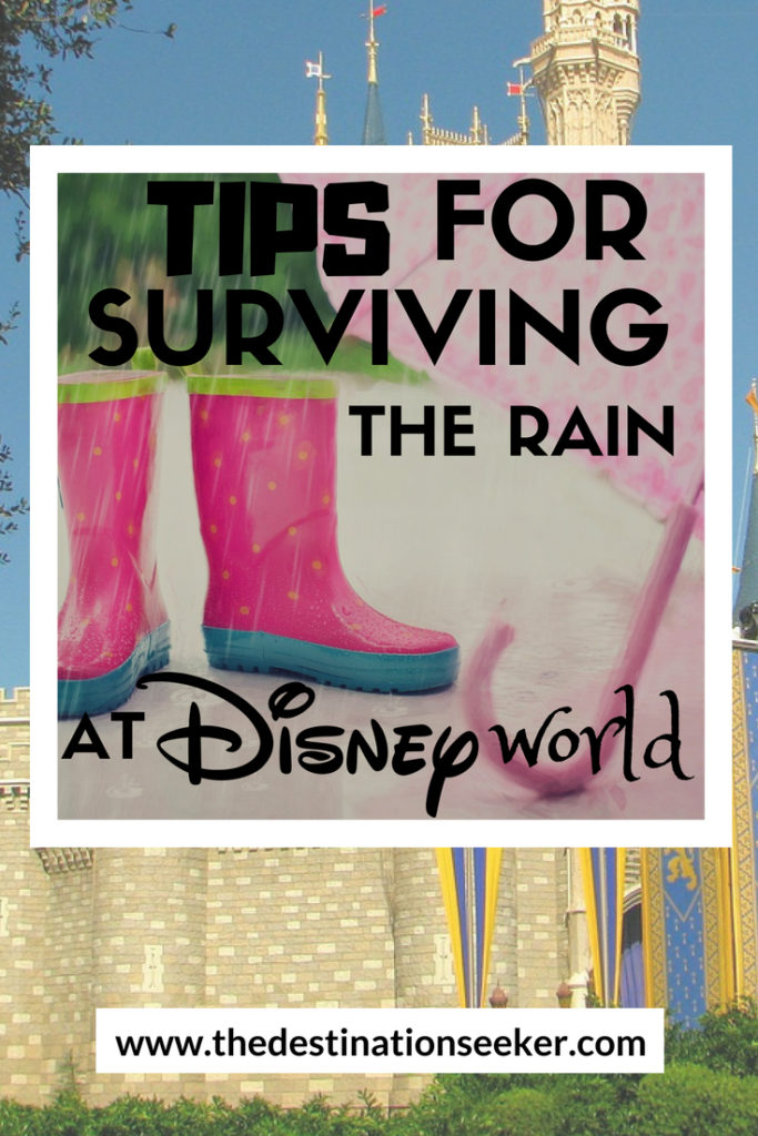 Surviving the Rain at Disney World