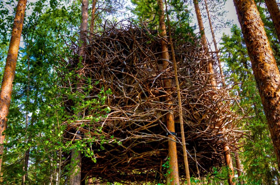 The Bird's Nest, Treehotel Sweden, Photo by Georgia Makitalo
