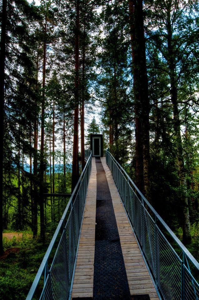 Treehotel, Sweden, photo by Georgia Maktialo