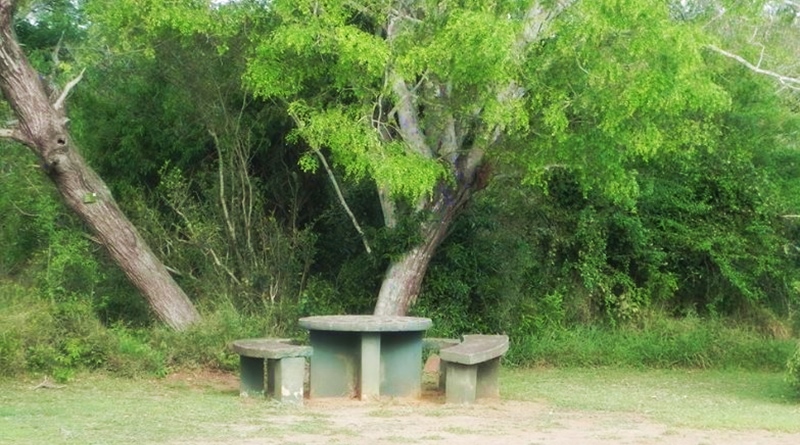 kuMasinga Picnic tables