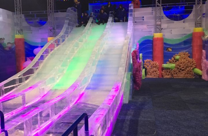 The slide at Ice Land