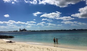 The Beach in the Bahamas