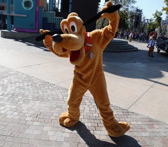 Pluto is seen at Disneyland