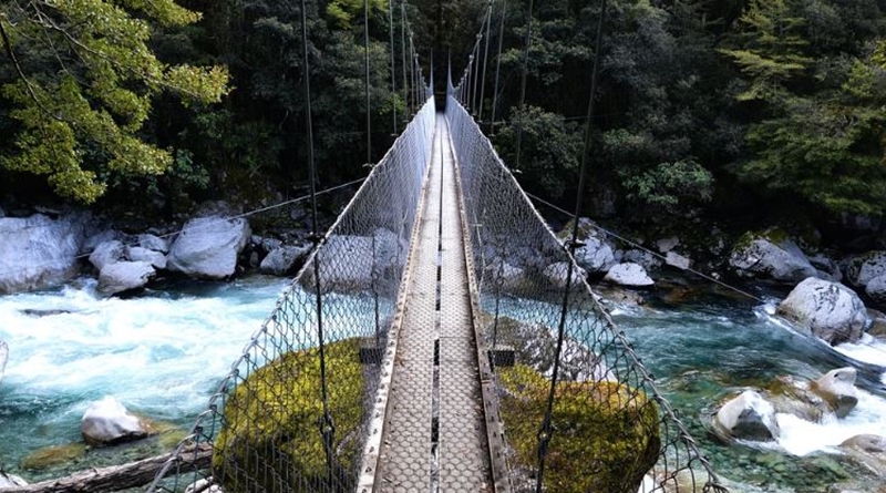 New zealand rivers of gold