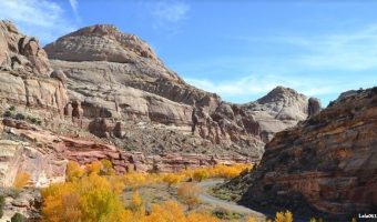 Capitol Reef National Park